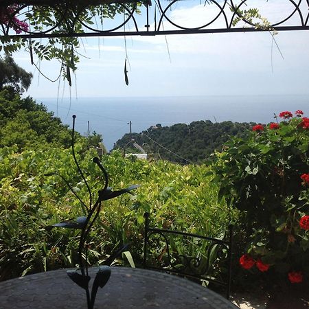 Villa D'Arte Mortola Superiore 客房 照片