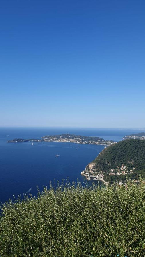 Villa D'Arte Mortola Superiore 外观 照片