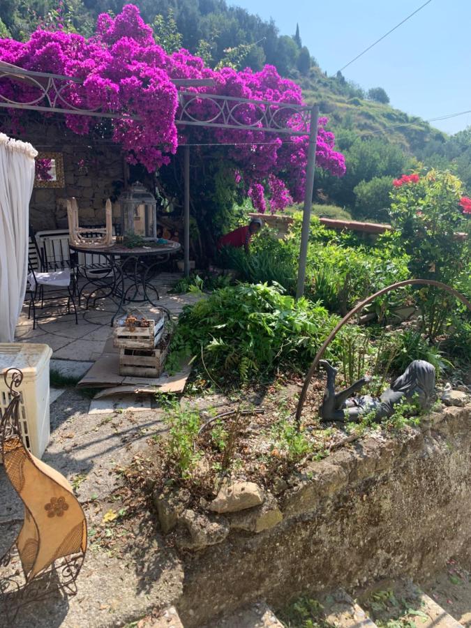 Villa D'Arte Mortola Superiore 外观 照片