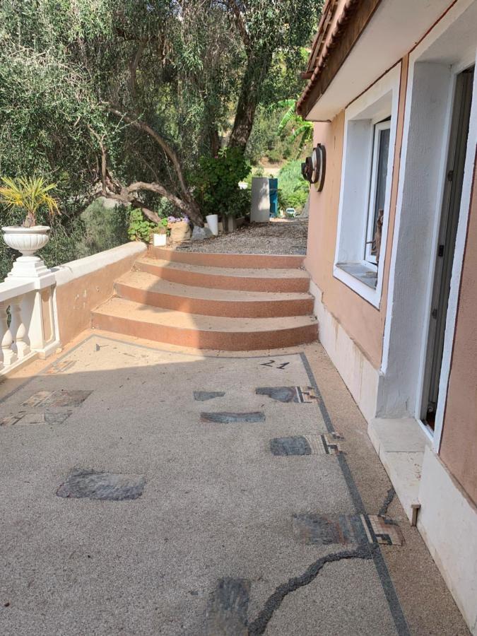 Villa D'Arte Mortola Superiore 外观 照片