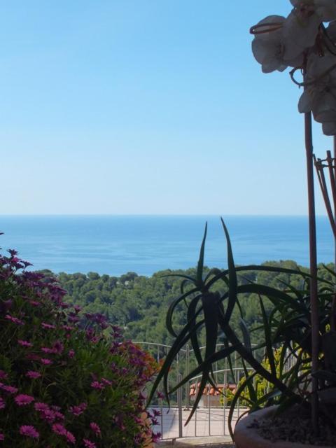 Villa D'Arte Mortola Superiore 外观 照片
