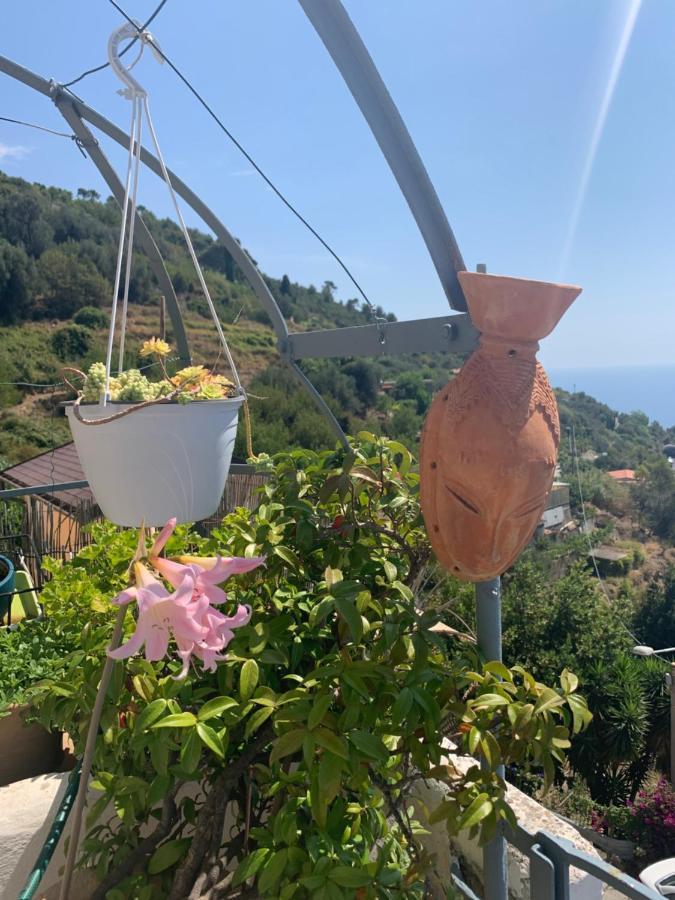 Villa D'Arte Mortola Superiore 外观 照片