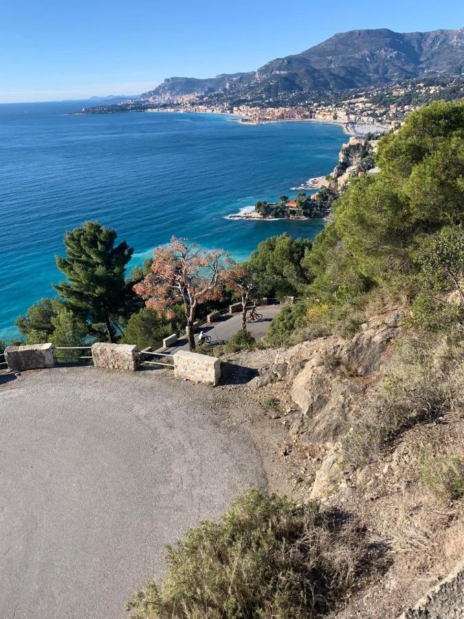 Villa D'Arte Mortola Superiore 外观 照片