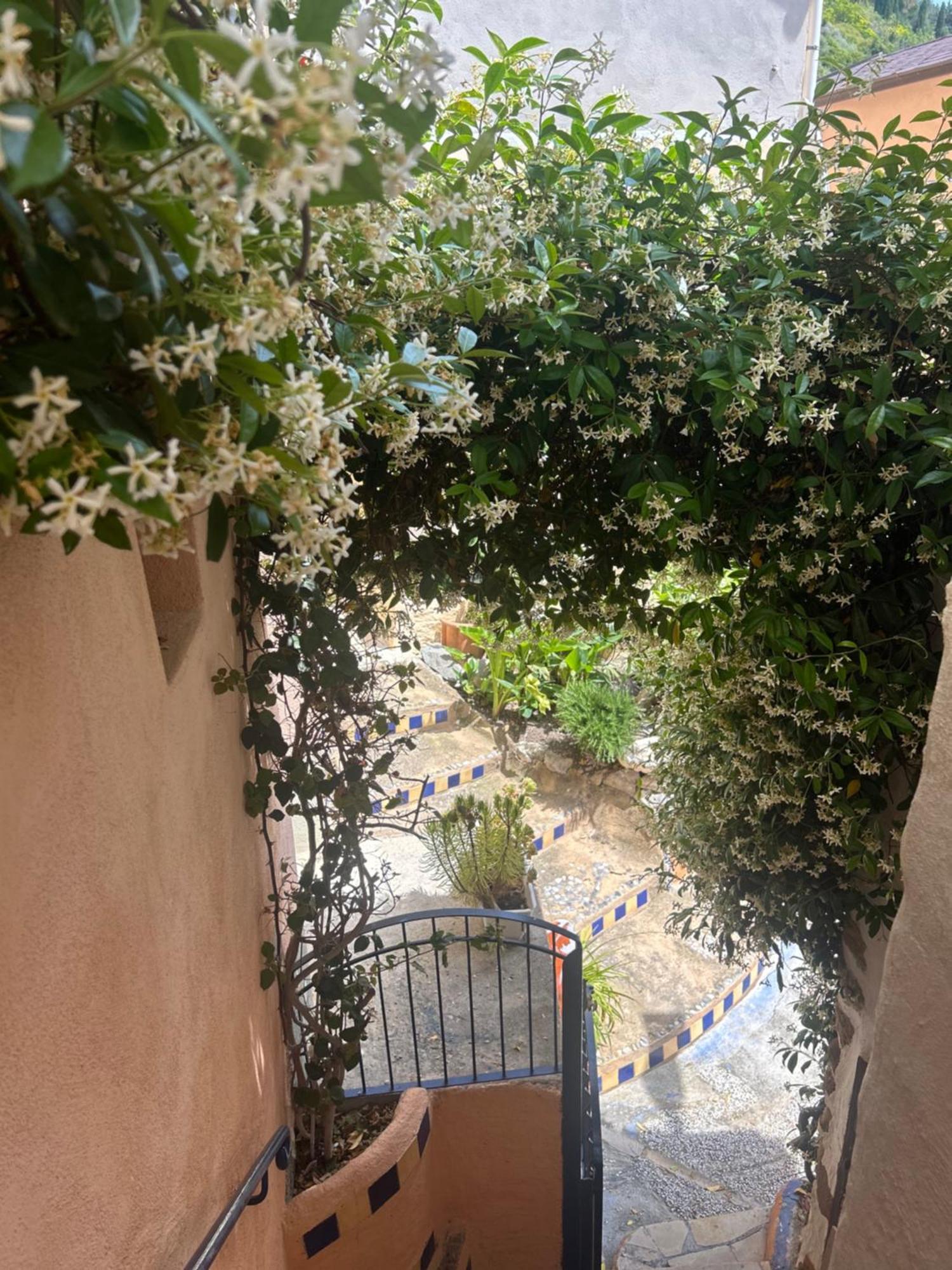 Villa D'Arte Mortola Superiore 外观 照片