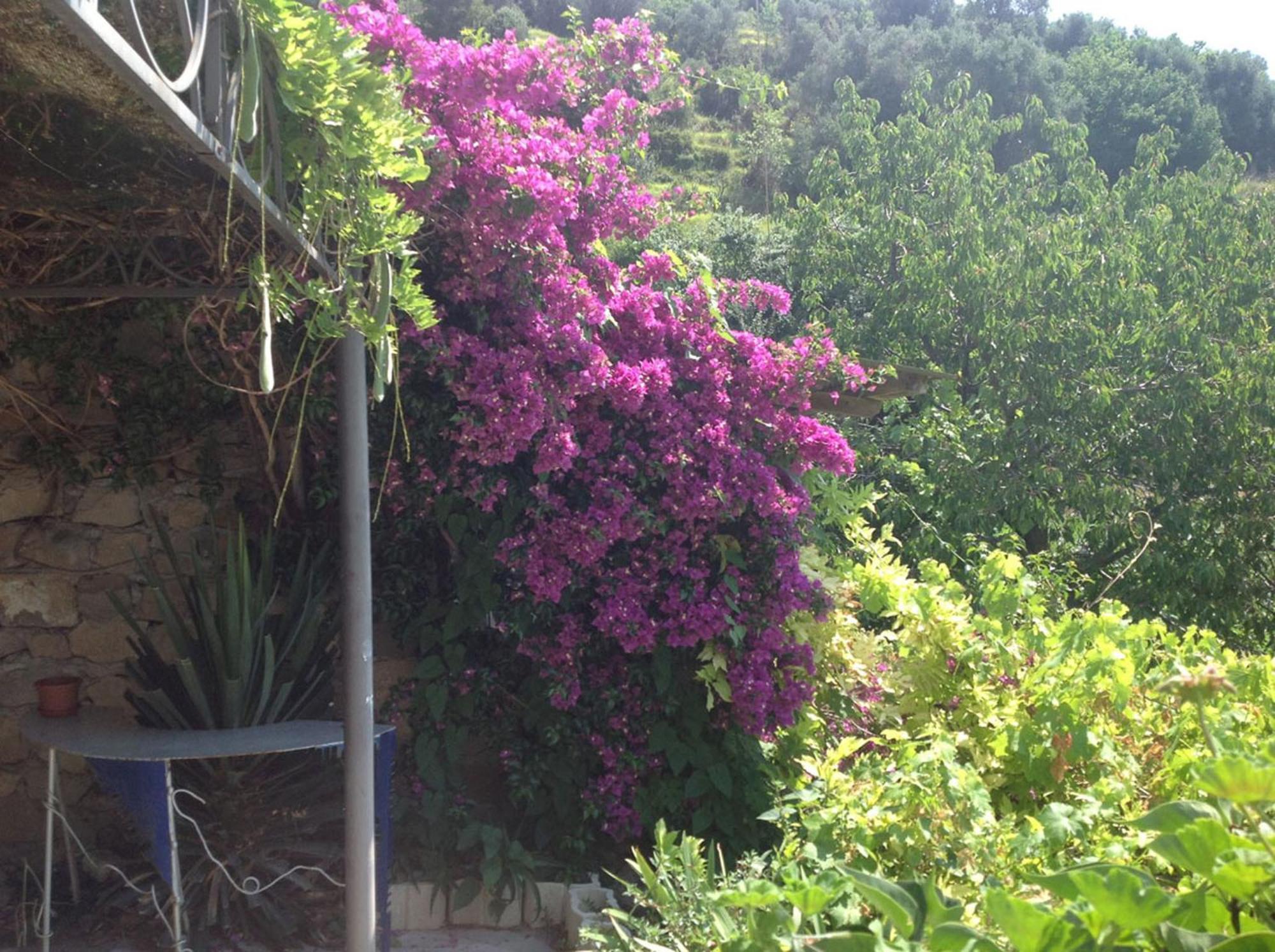Villa D'Arte Mortola Superiore 客房 照片