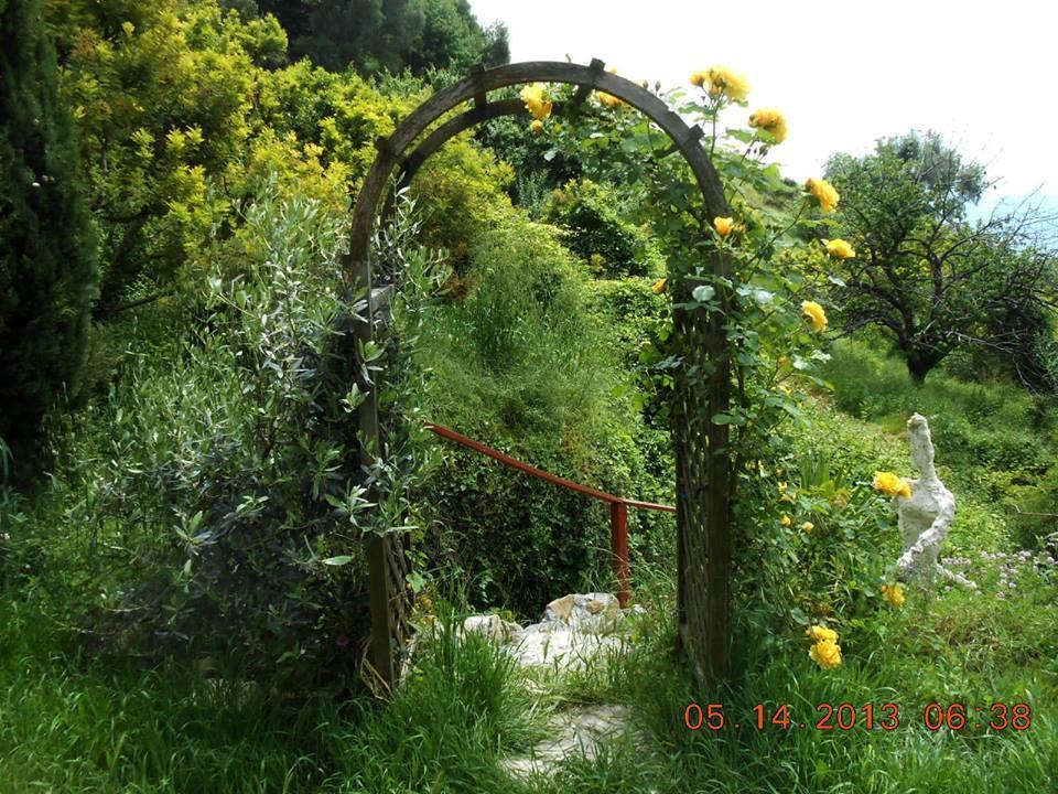Villa D'Arte Mortola Superiore 外观 照片