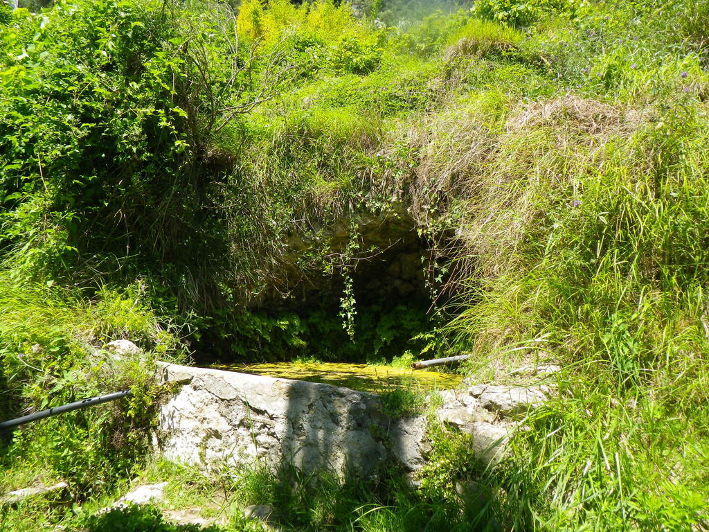Villa D'Arte Mortola Superiore 客房 照片