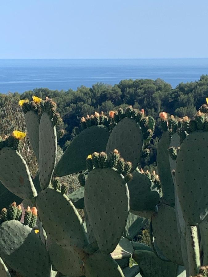 Villa D'Arte Mortola Superiore 外观 照片